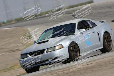 media/Oct-21-2023-Speed Ventures (Sat) [[ddf75163c5]]/Yellow/Grapevine/